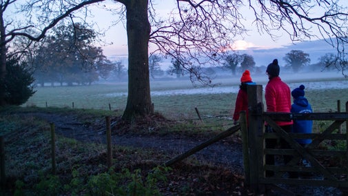 Family walk in the park on a frosty evening at Blickling Estate, Norfolk